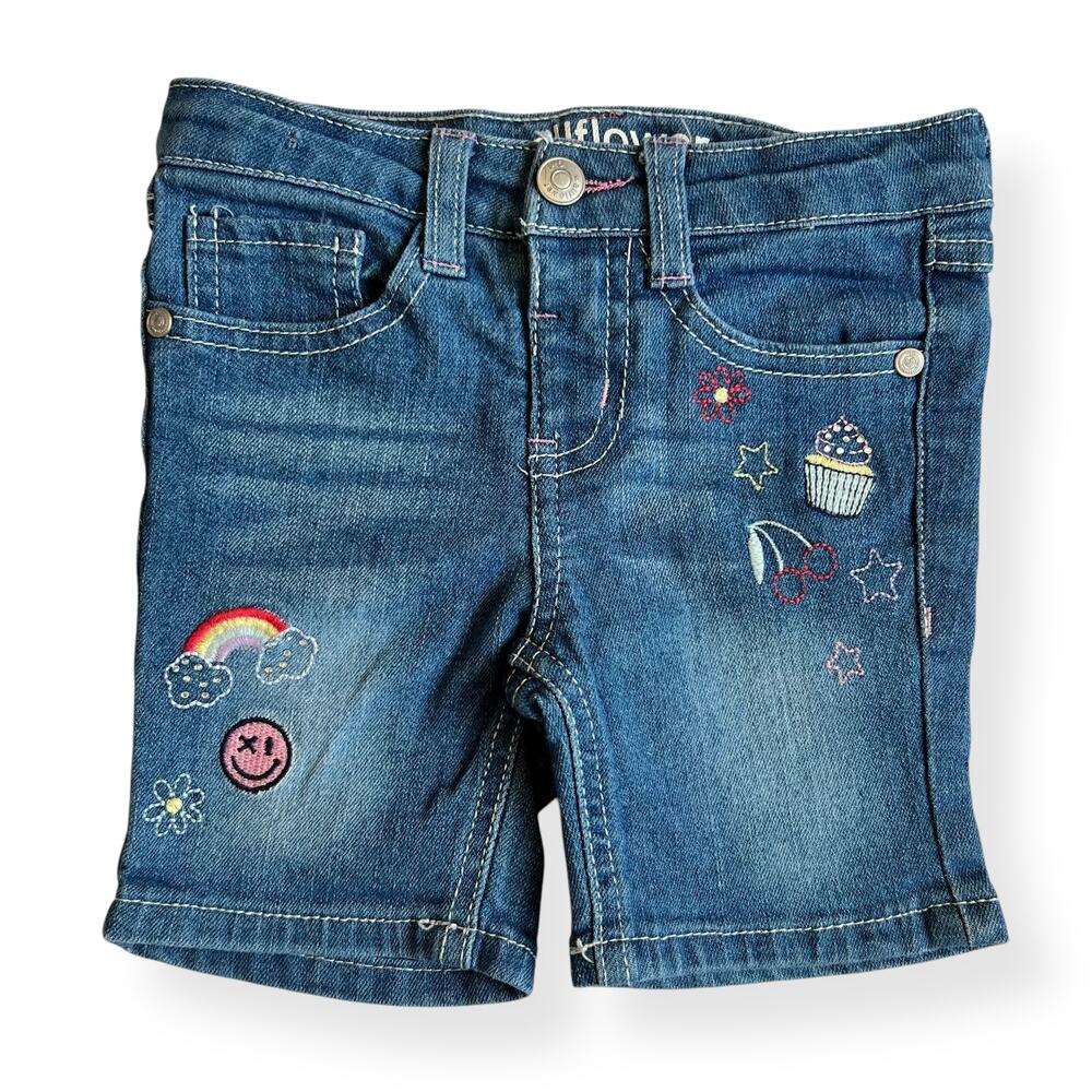 Wallflower Denim Embroidered Shorts